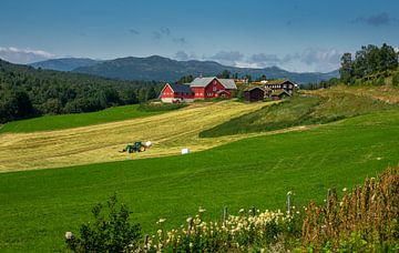 Noorse boerderij, Noorwegen van Adelheid Smitt
