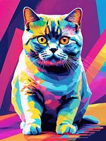 Brits Korthaar Pop Art