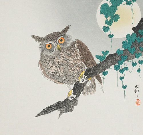 Uil, Ohara Koson