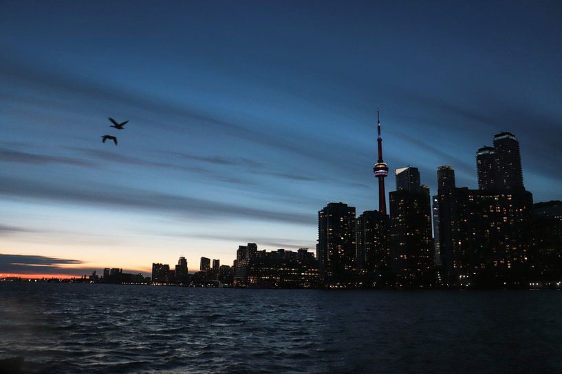 Toronto by Hello Pompoyo