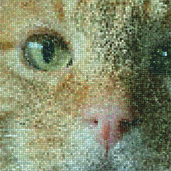 Portrait de Tomcat en mosaïque par Artmotifs Eve
