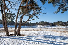 wunderbare Welt aus Schnee und Eis von Karin Hendriks Fotografie