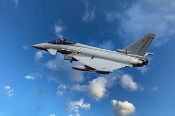 De Eurofighter Typhoon (Eurofighter EFA 2000) Duitsland, de 31-11 van Gert Hilbink