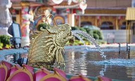 fontein   by Michael De Hoogh