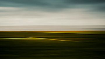 lines in the landscape by Annemarie Hoogwoud