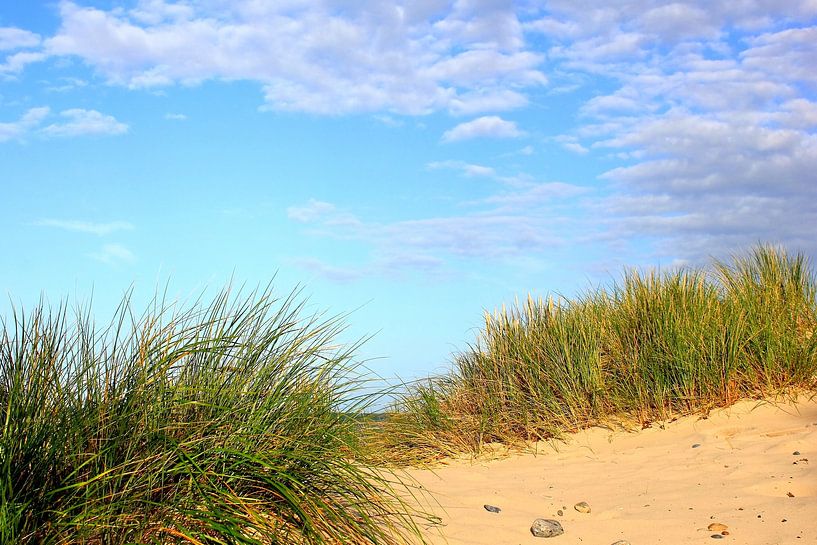 A beautiful autumn day by Ostsee Bilder