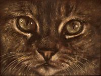 Into the Eyes