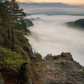 the new morning by Sergej Nickel