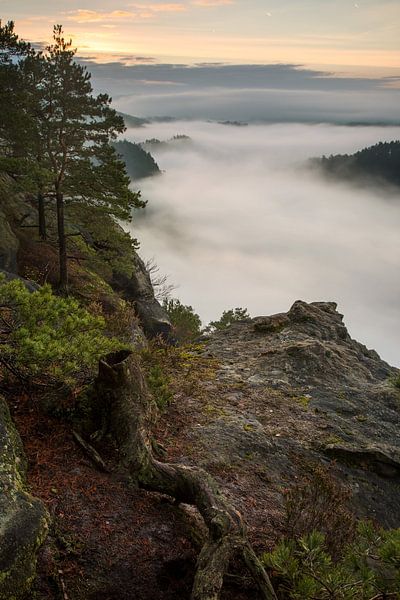 the new morning by Sergej Nickel