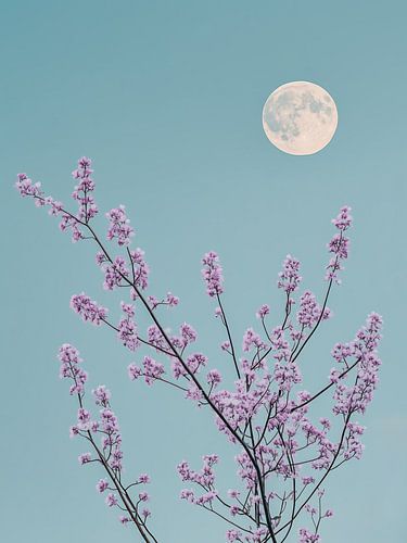 Blaue Blumen und Vollmond mit pastellblauem Himmel