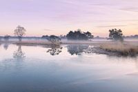 Kleurrijke zonsopkomst