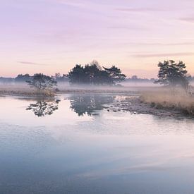 Kleurrijke zonsopkomst van Marco Rolleman