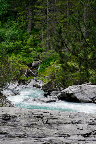 Fluss durch die Wälder