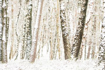 Winters boomlandschap van Danny Slijfer Natuurfotografie