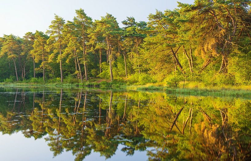 Sunrise Dwingelderveld (Spier) Drenthe - Netherlands by Marcel Kerdijk