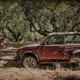 Vieille voiture et remorque à Olive Grove. sur Rene van Heerdt