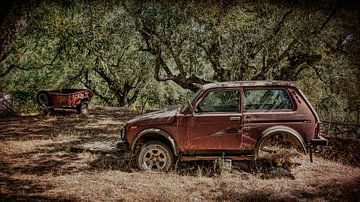 Oude auto en aanhanger in olijfbos. van Rene van Heerdt