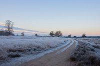 Sonnenaufgang im Winter