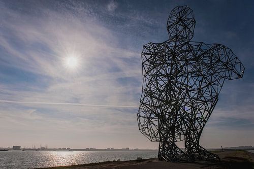 Exposure te Lelystad