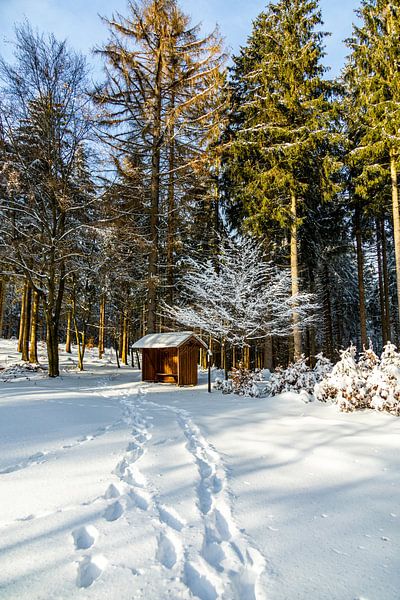 Korte winterwandeling rond de besneeuwde Inselsberg bij Brotterode - Thüringen - Duitsland van Oliver Hlavaty