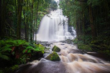 Nelson Falls by Ronne Vinkx