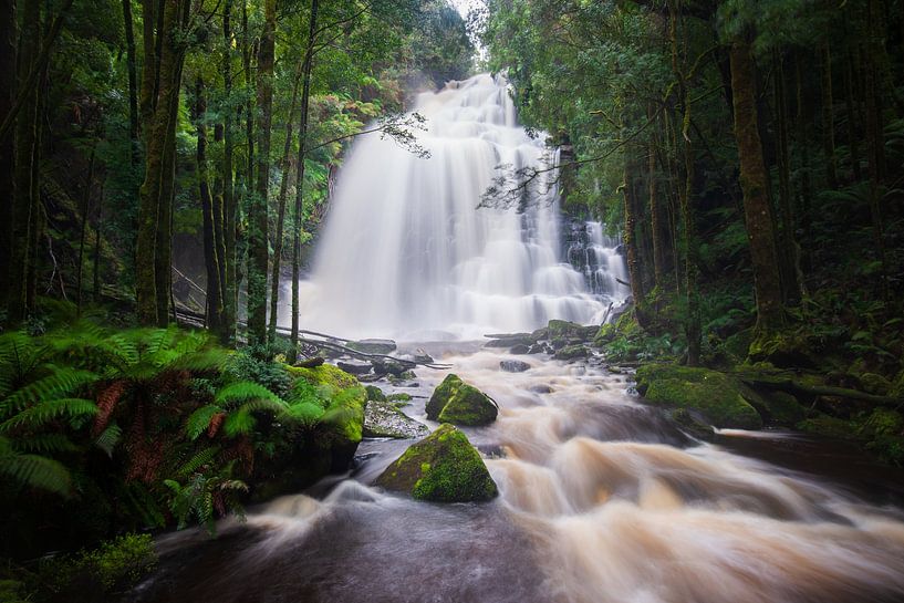 Chutes Nelson par Ronne Vinkx