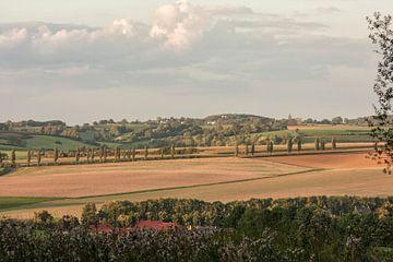 Avondzon boven de Eyser Heuvelrug  van John Kreukniet