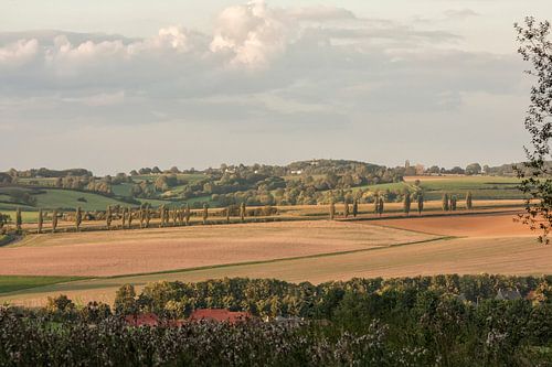 Avondzon boven de Eyser Heuvelrug 