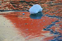 Monique Visser Holländisches Eis Teil 4