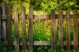 Hinter Gittern by Gabi Siebenhühner