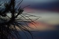 Zonsondergang Split