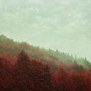 Forest in Morning Fog - Retro Red van Dirk Wüstenhagen thumbnail