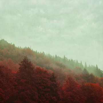 Forest in Morning Fog - Retro Red van Dirk Wüstenhagen
