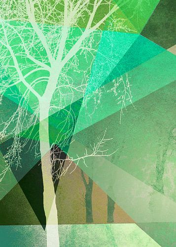 P22-B TREES AND TRIANGLES