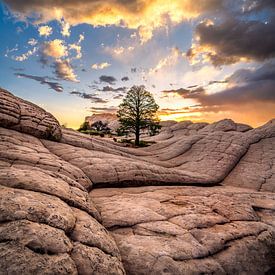 Wüste Sonnenuntergang Foto - Schöne Rocky Landschaft Fotografie drucken, Südwesten Home Decor, Arizona Wandkunst von Daniel Forster