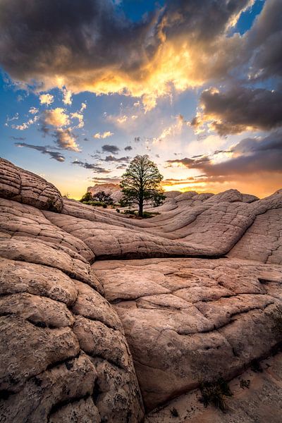 Wüste Sonnenuntergang Foto - Schöne Rocky Landschaft Fotografie drucken, Südwesten Home Decor, Arizona Wandkunst von Daniel Forster