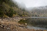 Lac Blanc /  Vogezen / Elzas van Rob Boon thumbnail