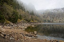 Weißer See / Vogesen / Elsass von Rob Boon