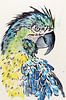 De blauwgele ara papegaai van Natalie Bruns thumbnail