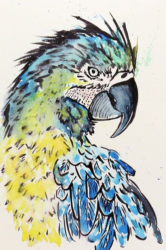 De blauwgele ara papegaai (aquarel schilderij wilde dieren vogel dierentuin veren kinderkamer stoer