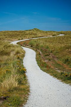 Fietspad op Vlieland van Jan