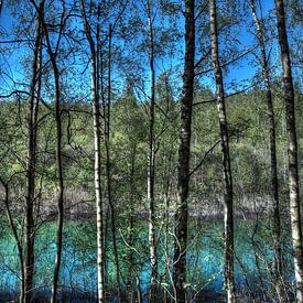 Natuur: bomen aan een meer van Jarno De Smedt