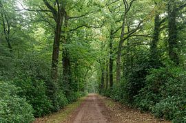 Landgoed Smalenbroek Enschede