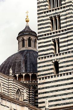 SIENA Cathedral - siena cathedral by Bernd Hoyen