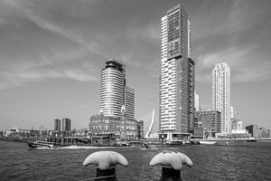 Der Wilhelminapier in Rotterdam mit dem Wassertaxi an der Maas von MS Fotografie | Marc van der Stelt