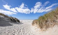 Strandeingang Texel