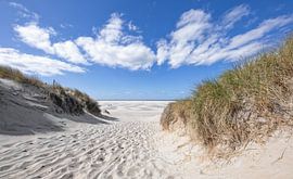 Strandopgang Texel / Beach entrance Texel van Justin Sinner Photography ( Fotograaf op Texel)