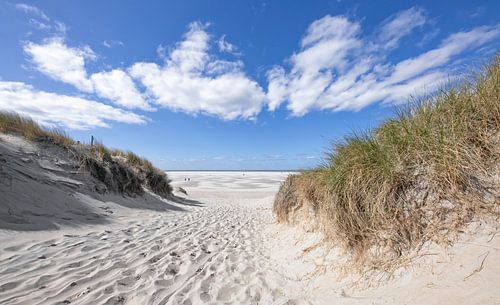 Strandopgang Texel / Beach entrance Texel