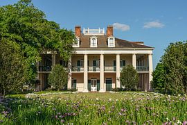 Oak Alley Plantation. by Jaap van den Berg