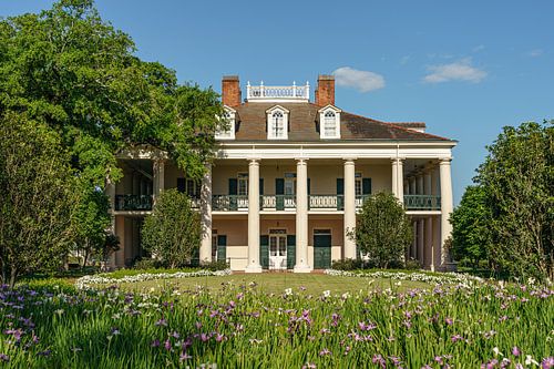 Oak Alley Plantation.